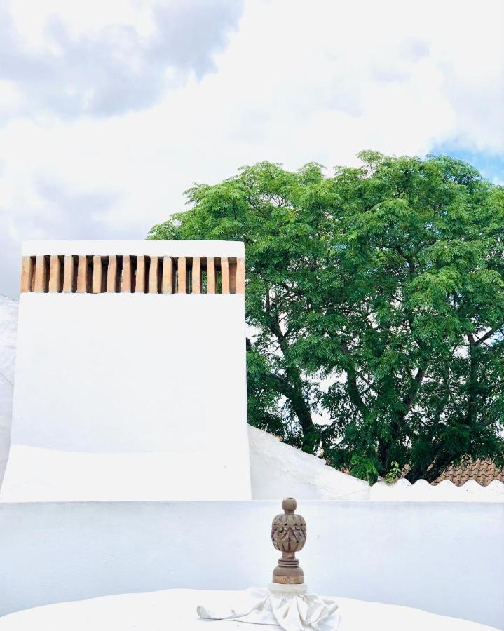 Casas - Alentejo Picarras