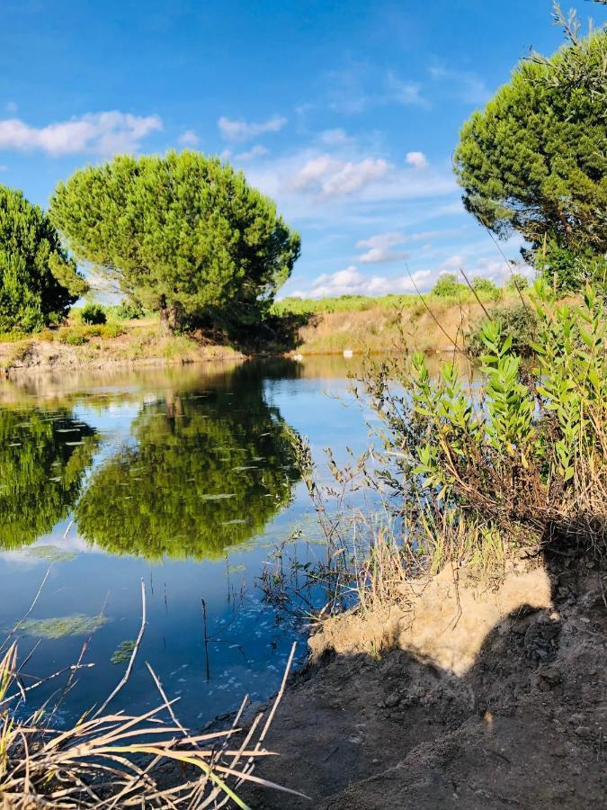 Villa Casas - Alentejo