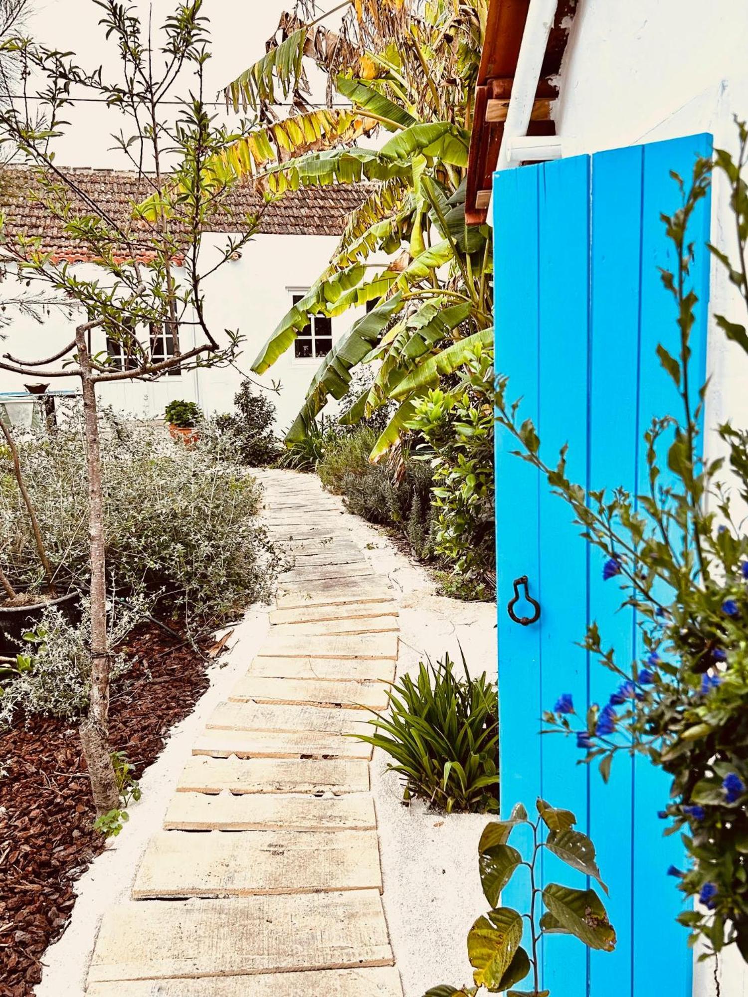 Casas - Alentejo *